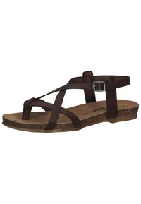 Cosmos Comfort Riemensandalette - dunkelbraun