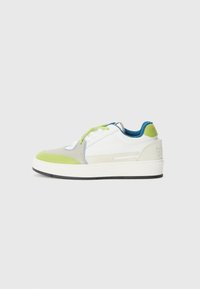 UNISEX - Sneakers basse - green