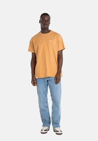 Reell LOWFLY - Vaqueros boyfriend - classic light blue