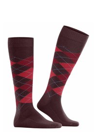Burlington PRESTON - Kniekousen - claret