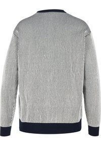 Langärmliger Strickpullover mit vertikalen schwarz-weißen Streifen, marineblauen Bündchen, Saum und Kragen, von hinten gezeigt.