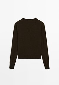Maglione marrone a maniche lunghe con collo a girocollo e design aderente. Texture morbida e polsini a coste, caratterizzato da un colore uniforme senza motivi o dettagli.