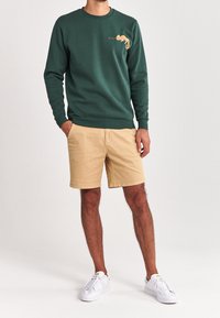 Felpa verde con un design di un camaleonte sul petto, abbinata a pantaloni corti beige e sneaker bianche, su uno sfondo chiaro.