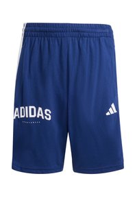 Pantalones cortos deportivos azules hechos de tela ligera, con una cintura elástica, logo blanco de "ADIDAS" y franjas laterales en contraste.