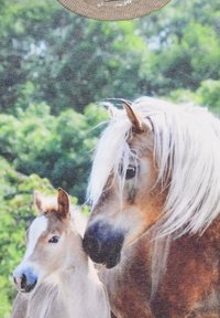 White horse with long hair and brown accents stands next to a light brown foal, against a blurred green background.