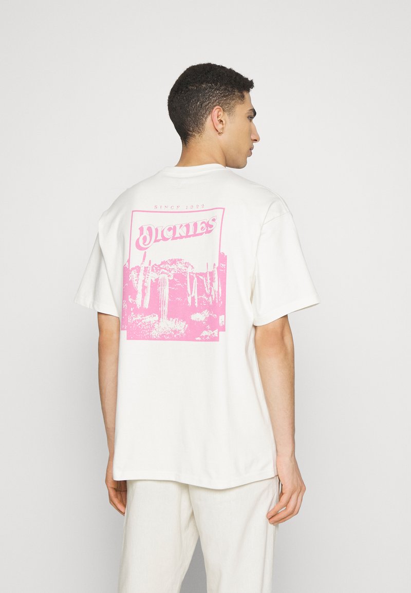 Dickies ROSE LODGE TEE UNISEX Tshirt con stampa cloud/bianco