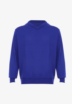 Pulover cu guler în V, cu mâneci lungi, de culoare albastru strălucitor. Textură tricotată cu manșete și tiv zimțat. Siluetă clasică, fără modele sau accente vizibile.