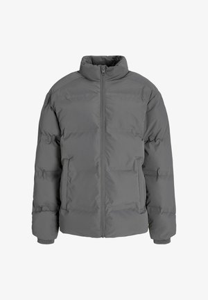 Γκρίζο παλτό με ψηλό γιακά, φορεμένο πάνω από ένα μαύρο πουλόβερ. Συνδυασμένο με ελαιοπράσινα παντελόνια και γκρι αθλητικά παπούτσια. Ουδέτερο φόντο.