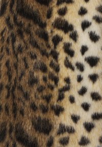 Leopardi prindi kangas lühikeste, pehmete, kuldpruunide karvadega, millel on erineva suuruse ja kujuga mustad laigud, mis pakuvad tekstuurset välimust.