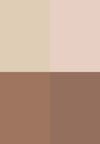 VELVET LOVE EYESHADOW QUAD (BEAUTIFUL BRIGHT EYES)