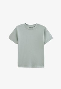 Sélectionné, agave