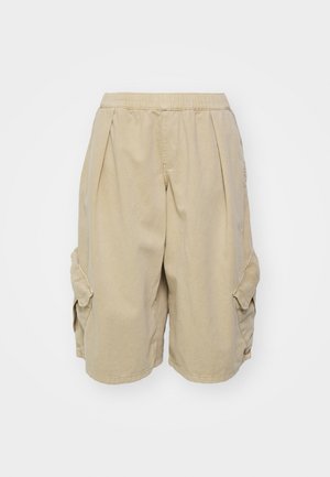 BDG Urban Outfitters DETROIT - Cargobroek - sand