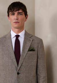 Muž s krátkymi tmavými vlasmi oblečený v hnedom kockovanom saku, bielej košeli, bordovej kravate a zelenom vreckovom, stojaci pred béžovou stenou.