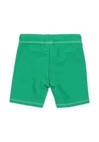 Gröna badshorts tillverkade av stretchigt material, med medelhög midja, flatlock-sömmar och en mjuk yta. Endast bakvy.