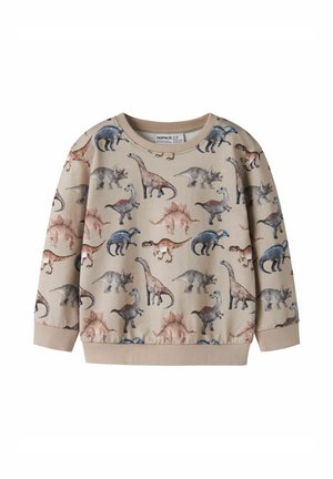 Beige langærmet børnesweatshirt med flerfarvede dinosaurillustrationer inklusiv T-Rex, Triceratops, Stegosaurus og Brachiosaurus.