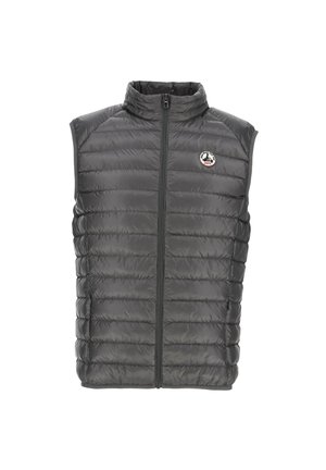 Gilet sans manches gris moelleux avec un col haut, fermeture éclair à l'avant et design matelassé. Présente un logo sur la poitrine gauche. Texture douce et lisse.