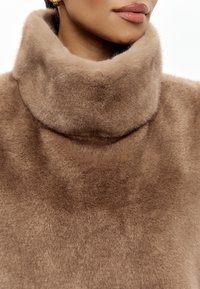 Přesně padnoucí, měkký hnědý límec vyrobený z plyšového materiálu, s vysokým designem, hladkou texturou a jemnými tonálními variacemi.