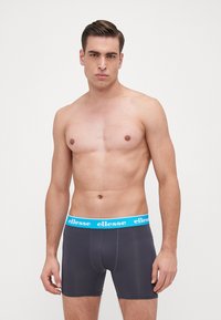 Gray boxer briefs with a blue elastic waistband featuring "ellesse" logo. Soft, smooth material and fitted design.