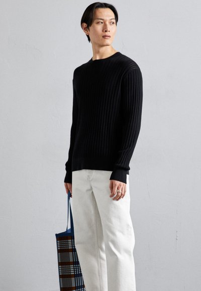 Won Hundred RYDER POINTELLE - Pullover - black