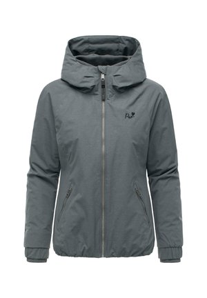 DIZZIE WARM  - Winterjacke - dark grey