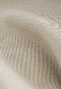 Next EDIT HEAVYWEIGHT - Felpa con cappuccio - stone neutral graphic
