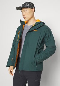 Jack Wolfskin TROPOSPHERE INS JACKET - Giacca invernale - black olive