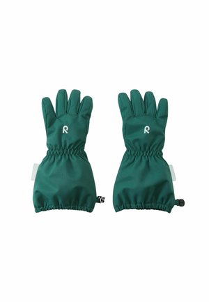 Paar grüne isolierte Handschuhe mit verlängerten Bündchen und elastischen Handgelenken, jeweils mit einem weißen "R"-Logo auf dem Handrücken.