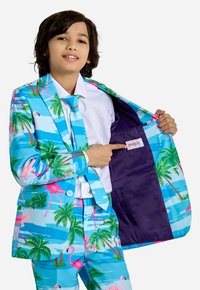 OppoSuits Oblek - multi-coloured