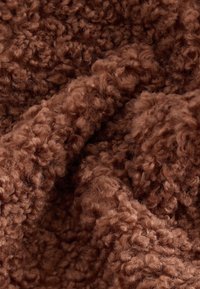 Non sélectionné, camel