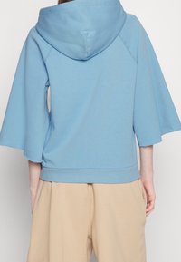 Polo Ralph Lauren Hoodie - blue