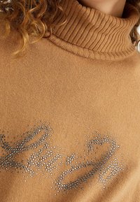 Pull à col roulé marron en matière douce, avec un motif en strass argenté rappelant une écriture cursive, placé à l'avant.