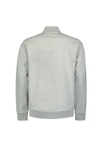 Lichtgrijze sweatshirt, zachte stof, ribbels aan de manchetten en zoom, staande kraag, effen achterkant zonder zichtbare kenmerken of versieringen.