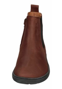 koel FILAS  - Ankle boots - chocolate