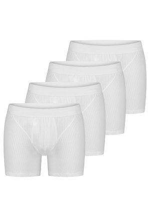 4 PACK - Bokserit - weiß