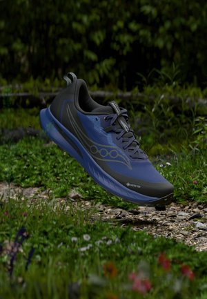 PEREGRINE 15 GTX - Metsajooksu tossud - regal/black