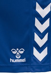 Shorts de sport bleus avec des bandes en chevron blanches sur le côté et un logo stylisé blanc près de l'ourlet. Texture de tissu lisse.