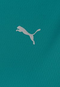 Logo de Silver Puma impreso en tela texturizada color verde azulado, que sugiere ropa deportiva o ropa atlética.