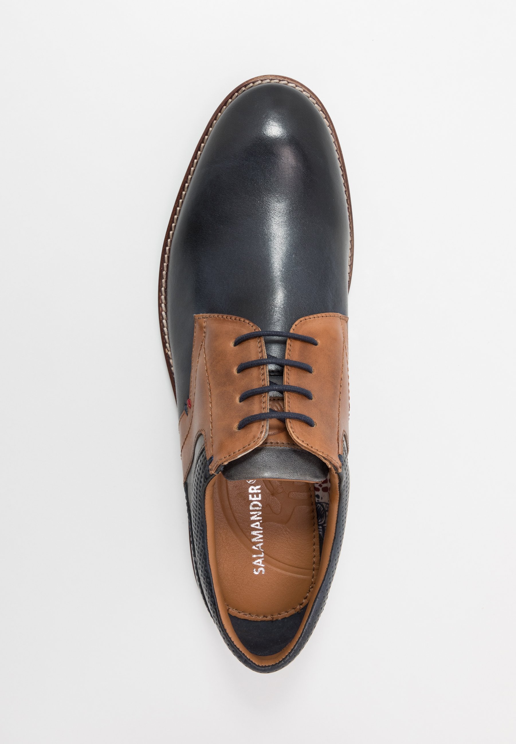 derbies salamander