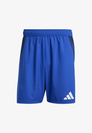 Blaue Sportshorts aus leichtem Material, mit einem elastischen Bund, seitlichen Einsätzen in einem dunkleren Farbton und einem weißen Logo-Akzent.