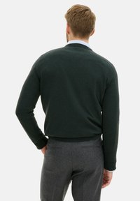 Dunkelgrüner Pullover mit glatter Textur, gerippten Bündchen und Saum, getragen über grauen Hosen. Sichtbarer Kragen eines hellblauen Hemdes darunter.