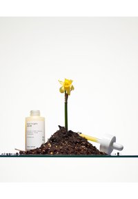 Bottiglia di siero per il viso con un liquido giallo pallido, contagocce in vetro, fiore di narciso giallo e terreno scuro su una superficie trasparente.