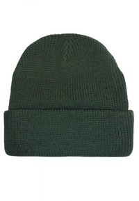 Goorin Bros ANIMAL PETCH - Berretto - green while