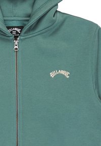 Grüne Zip-Hoodie aus weichem Stoff, mit Kordelzugkapuze, gesticktem Logo auf der Brust und silbernem Reißverschluss.