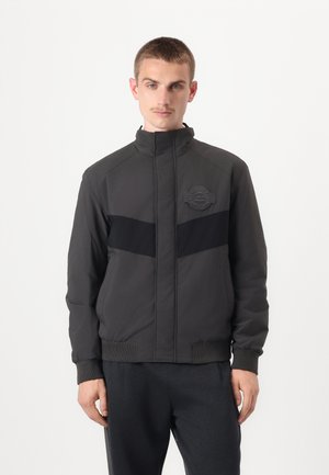 Gray zip-up jacket with a high collar, featuring a black horizontal stripe and embossed logo on the chest. Ribbed cuffs and hem.