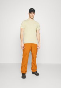 The North Face SIMPLE DOME TEE - Marškinėliai su spaudiniu - gravel/white