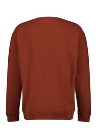 America Today Sweatshirt - brown