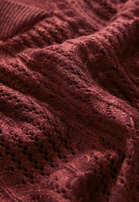 Next POINTELLE SPARKLE LAYER  - Blúzka so zapínaním na gombíky - red