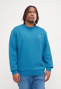 Blauwe sweatshirt met lange mouwen en ronde hals. Heeft een klein wit logo op de borst. Gemaakt van zachte stof met een gladde textuur.