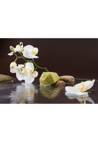 Thumbnail Image 7