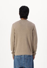 Jack & Jones PREMIUM Stickad tröja - beige